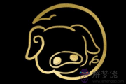 生肖豬最讓人反感的地方 生肖豬最讓人反感的地方