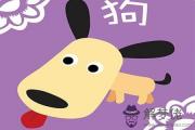 12生肖為啥不結婚——狗 12生肖為啥不結婚——狗