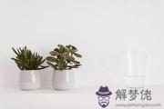 丙辰日出生的人命運好嗎？