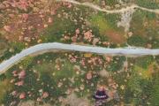 城頭土適合什麽顏色 城頭土幸運顏色