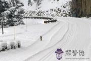 癸亥日男命看婚姻 癸亥日柱男婚姻怎麽樣