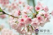 有哪些增加桃花運靠譜的方法 有哪些增加桃花運靠譜的方法
