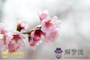 最易犯桃花劫的生肖排行