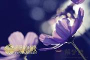 這些生肖女會果斷甩掉摳門男