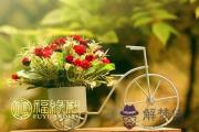 屬豬男人的愛情與婚姻