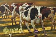 屬牛適合戴什麽吉祥物