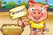 屬豬的人的一生運勢