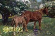 屬馬的三合屬相有哪些 屬馬的三合屬相有哪些