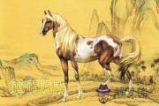 十二屬相的幸運顏色 十二屬相的幸運顏色