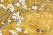牛年周姓男起名 有意境大氣寶寶名字