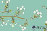 姓孔姓牛年2月份起名 有特點好寓意名字推薦
