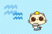 重性or重愛水瓶座怎麼看