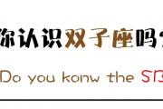 你認識雙子座嗎
