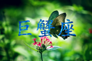 巨蟹座的愛情回頭率高嗎