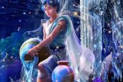 金星水瓶座分析