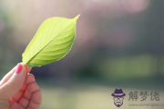 戀愛中無法自拔的星座男有哪些