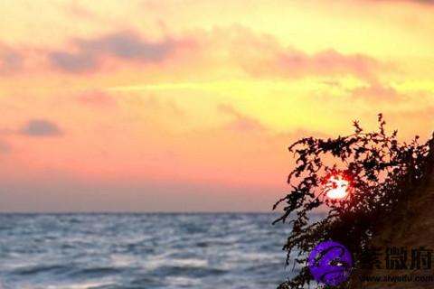 星座生肖性格解讀 屬兔的天蝎座是什么命運性格