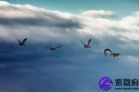 處女座2020年4月運勢 處女座四月份運勢2020