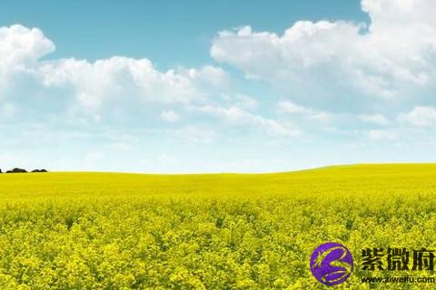 讓男人一眼喜歡的星座女 這些星座女笑起來最吸引人