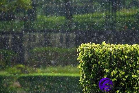 水瓶男女的區別 水瓶男女吃醋有哪些差別