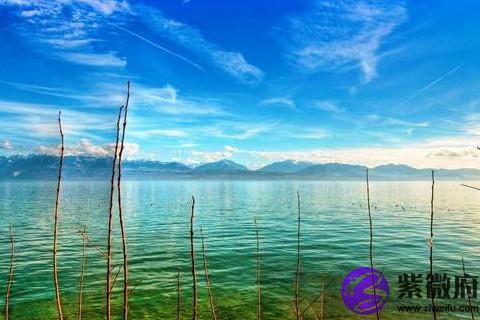 星座血性 雙魚座a型血女生事業財運