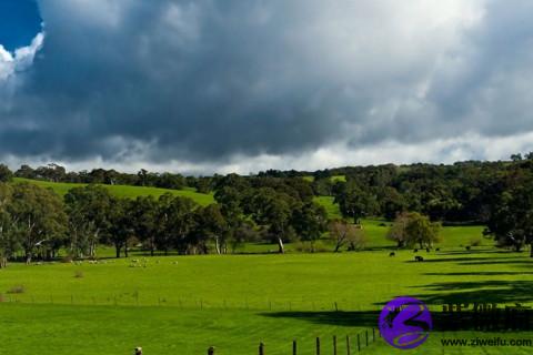 雙魚座O型性格盤點 O型血雙魚事業財運
