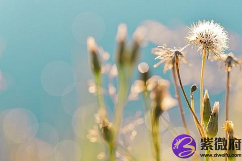 2020年3月星座運勢 天蝎座3月星運