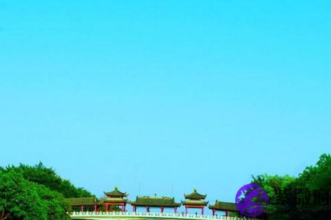 2020星座大預言 這幾個星座在2020事業暴升