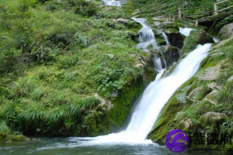 2020年金牛座運程之健康運勢 2020年金牛座運程好嗎