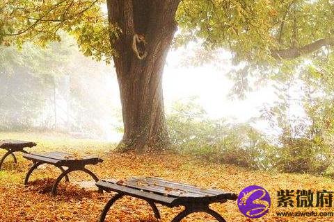 2020年金牛座本年運勢 2020年金牛座學業運勢