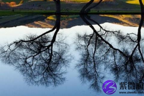 十二星座財富運勢 2020年十二星座今年的財運