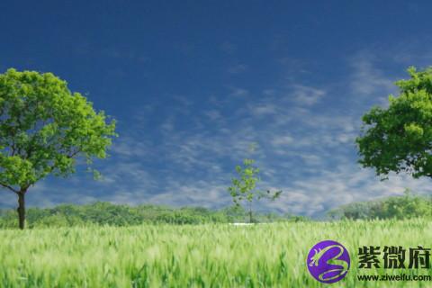 2020年健康運 2020年星座大預言