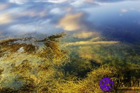 12星座運勢2020年運勢詳解勢詳解 學習運