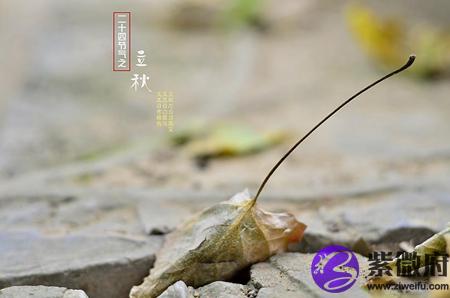 2020年立秋是幾月幾日幾點幾分開始,立秋截止時間是哪天？(圖文)