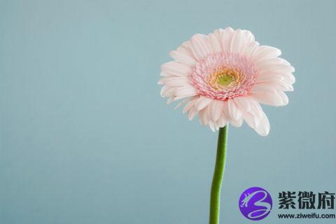 屬猴的人在1992年9月出生命運如何,92年屬猴性格優缺點解析!(圖文)