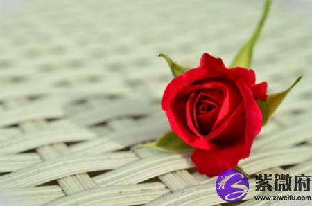 1990年9月出生的馬命好不好,春夏出生屬馬命運如何?(圖文)