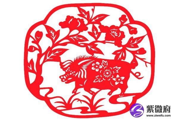 71年豬是什么星座