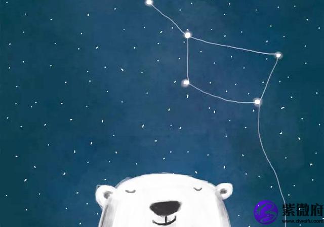 小熊星座的眼睛字幕