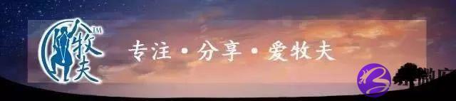 北半球冬季的星座