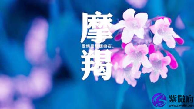 直男癌有星座