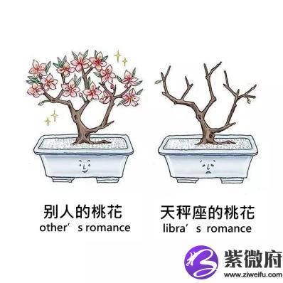 星座戀人 百度云