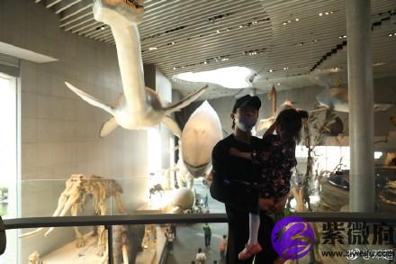 鄧超女兒什么星座