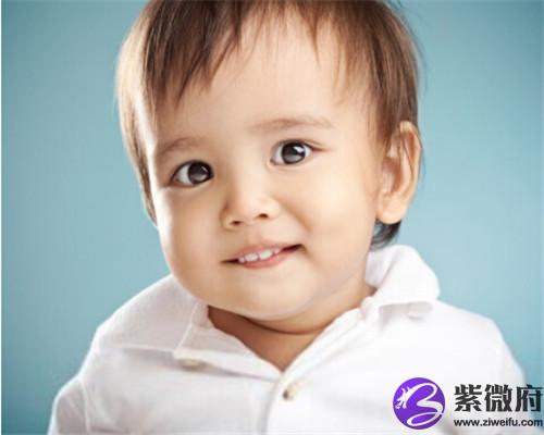 雞年8月出生是什么星座