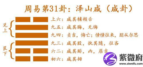 咸卦測感情星座屋