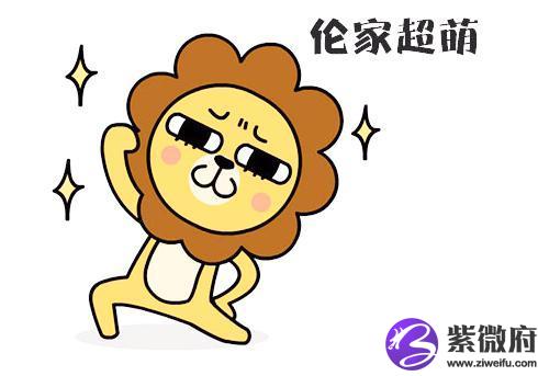 重慶紫都星座