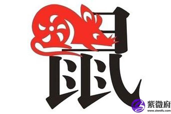 1984年8月29是什么星座