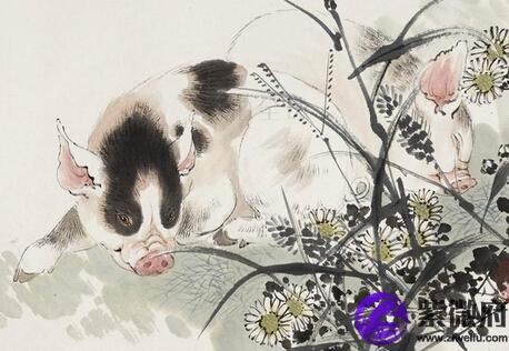 1983年屬什么星座