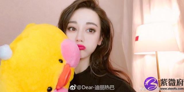 貓石星座2017.11.月