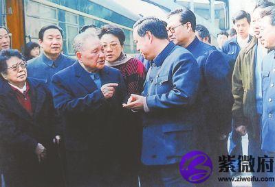 1990年2月20是什么星座