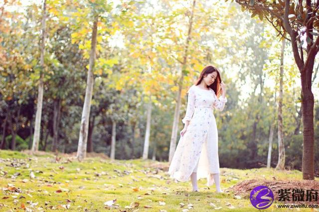 紫薇科技星座網是否信得過